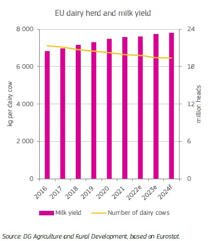 EU dairy herd size Oct24